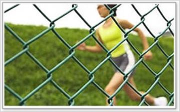 Chain Link Fence